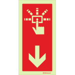 Botoneira de alarme em baixo 24544