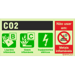 Extintor de CO2 24679