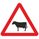 A19a - Animais 51593