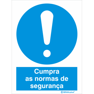 Cumpra as normas de segurança 22487