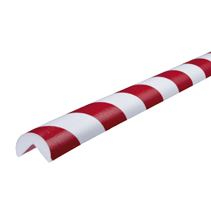 4250202