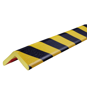42509_01