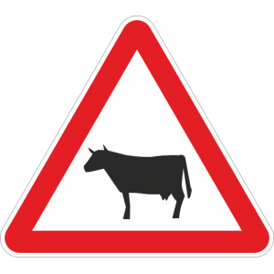 A19a - Animais 51593